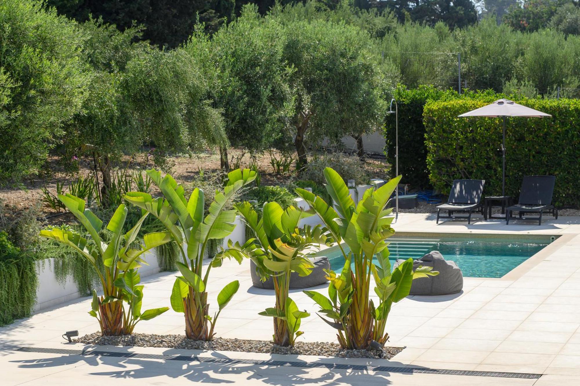 העיירה קוס Phillyrea Luxury Villas מראה חיצוני תמונה